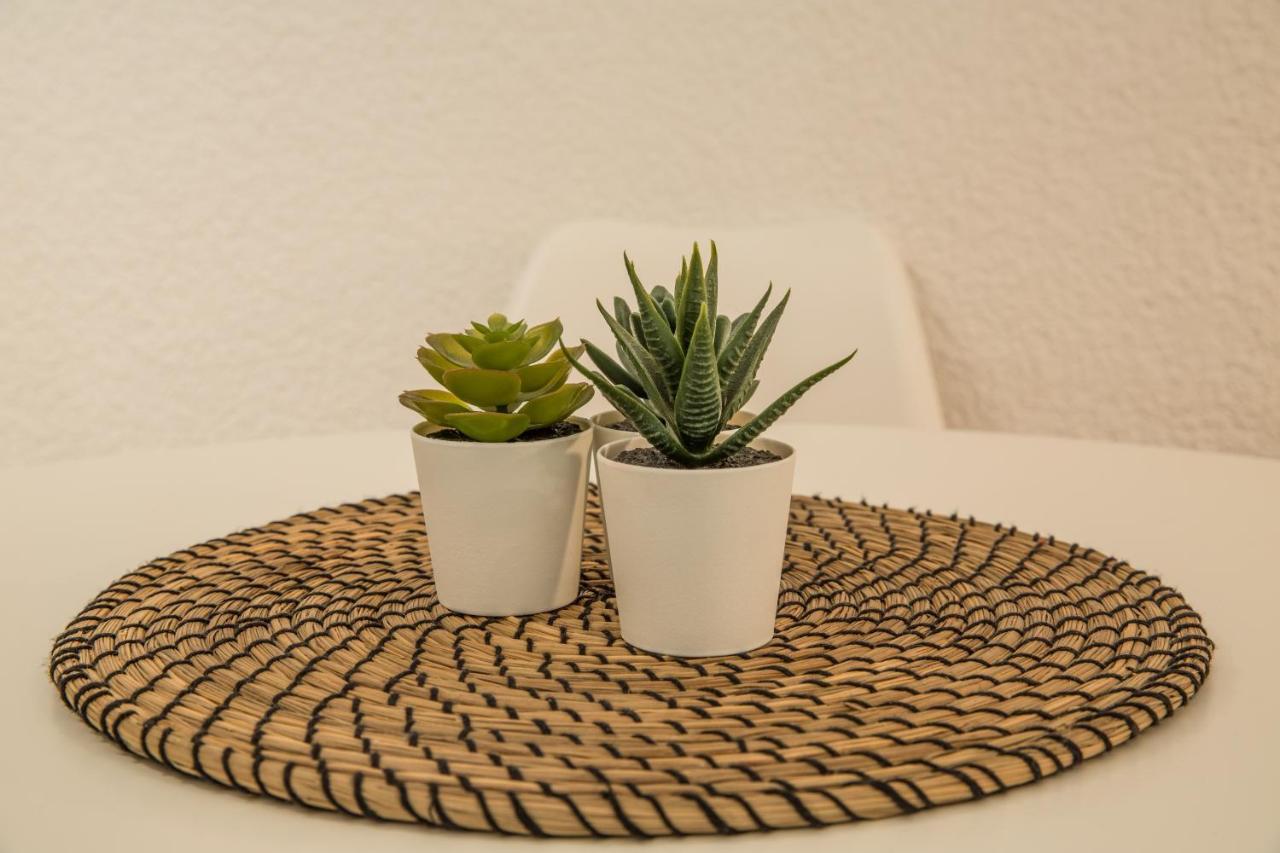 Del Mar Luxury Apartment 30M From The Beach Pórto Ráfti Zewnętrze zdjęcie